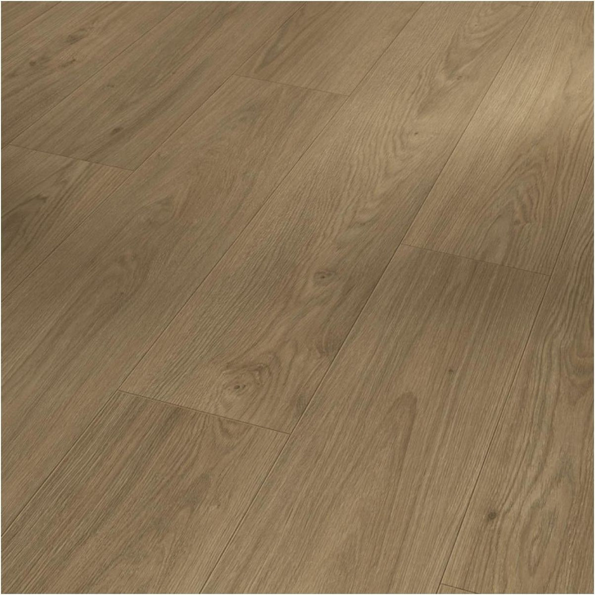 PARADOR Classic 1050 4V Eiken Mont Blanc Bruin - Laminaat