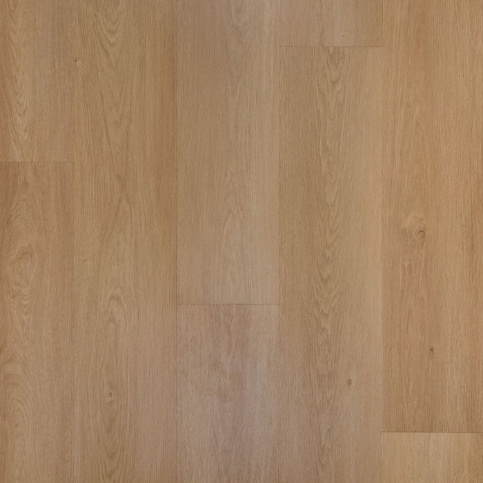 Douwes Dekker Perzik plank | Dryback Plak PVC