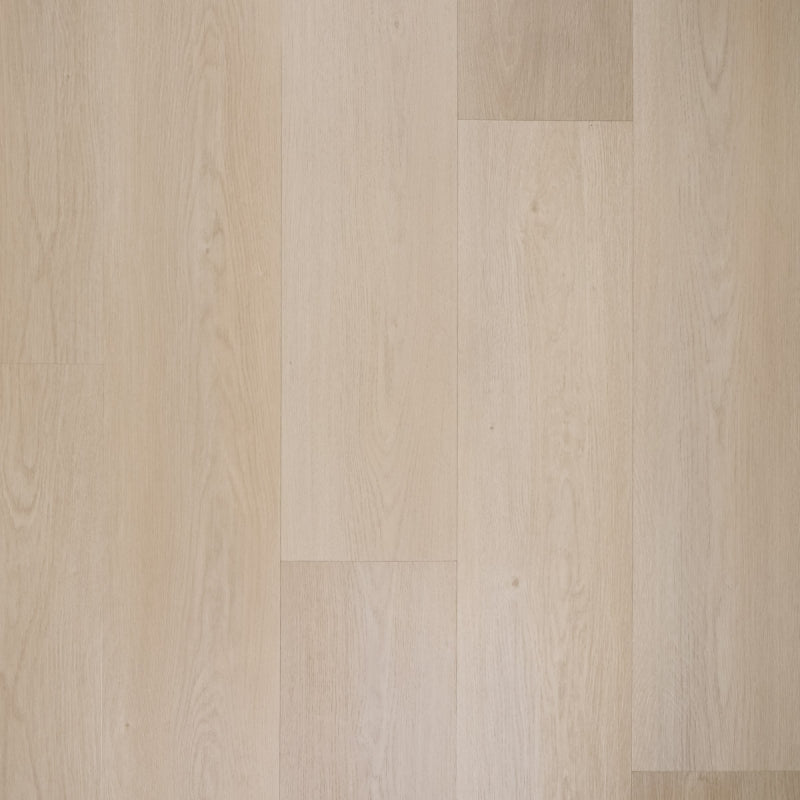 Staal van Douwes Dekker Sinaasappel plank | Dryback Plak PVC