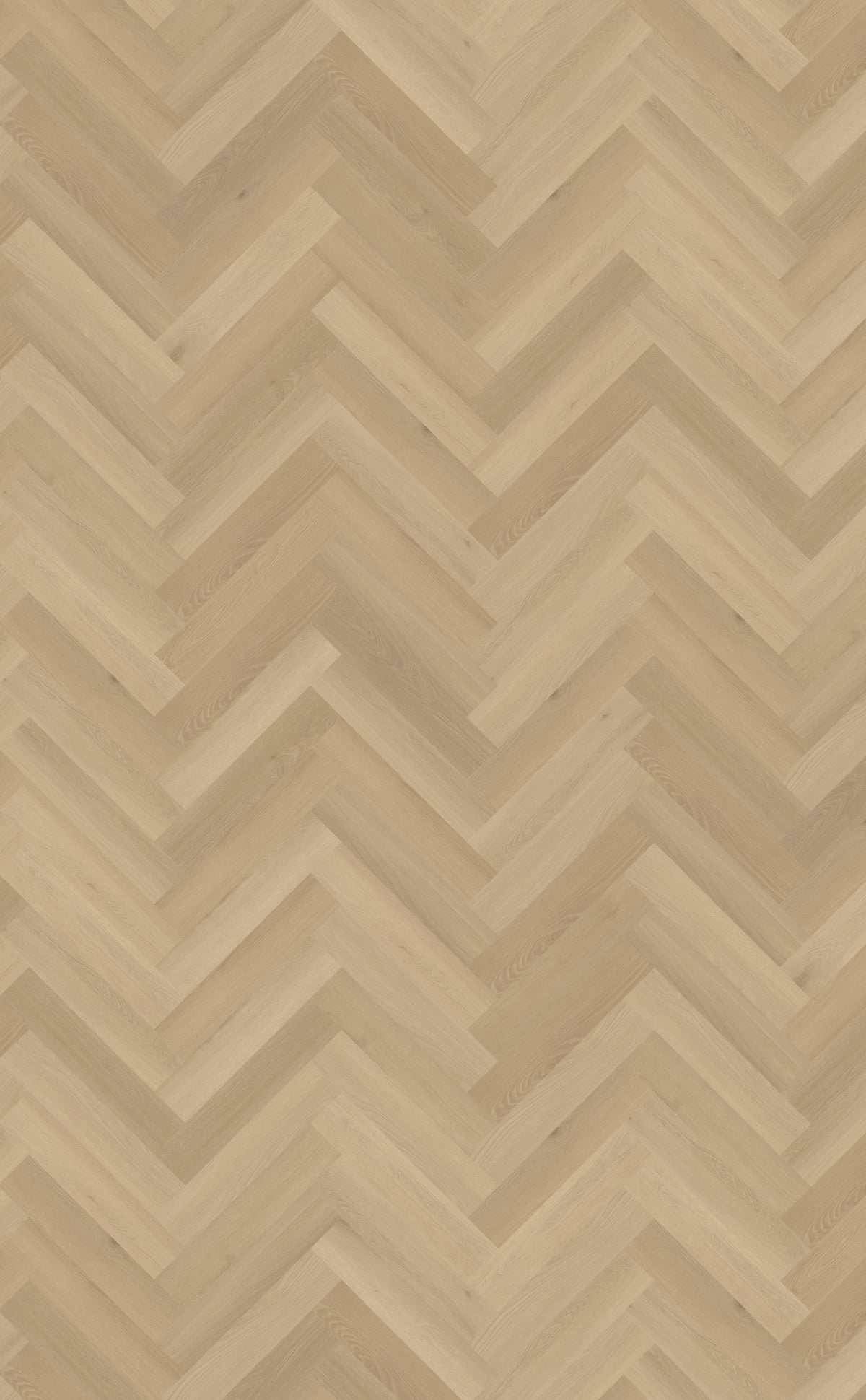 Belakos Borgo Visgraat XL 31 | Rigid Klik PVC