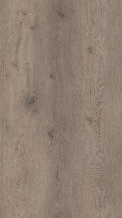 COREtec XL-End 2594 Belvoir | Click PVC