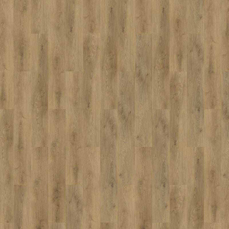 Staal van mFLOR 62335 Colton Ralph - Dryback Plak PVC
