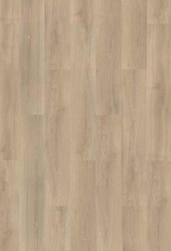 Staal van mFLOR River Oak 63014 Po | Dryback Lijm PVC