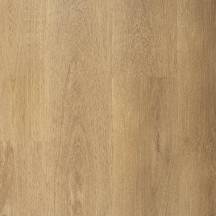 Sense P955 | Lijm PVC Dryback