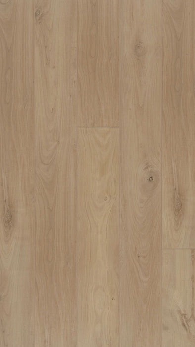 COREtec Proplus+ 1224 Millau | Click PVC