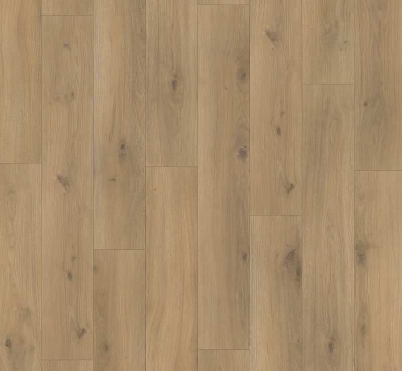 Staal van Parador Basic 200 | Eiken Horizont Natuur | 4V-Groef