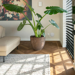 Welke plinten moet ik kiezen?