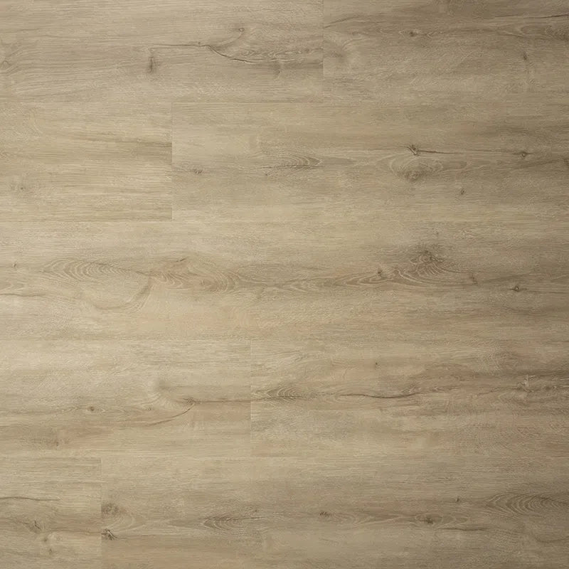 Staal van Sense P600 | Wood Brilliant Oak | Lijm PVC Dryback