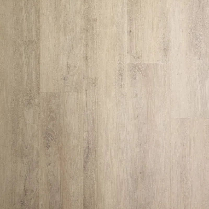 Staal van Sense P905 | Wood Frozen Oak Beige | Lijm PVC Dryback