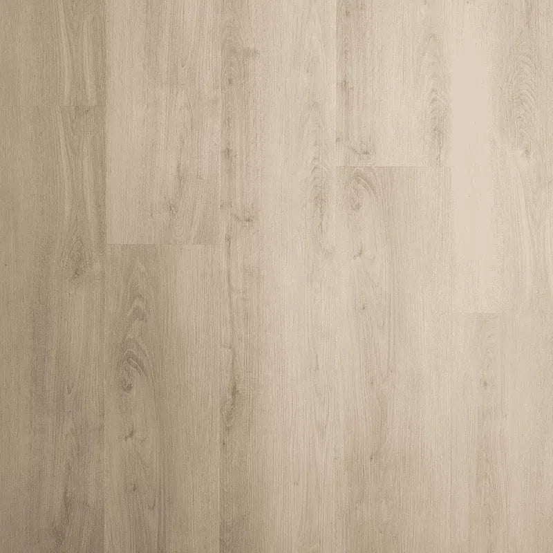 Staal van Sense G905 | Wood Frozen Oak Beige | Click PVC Rigid