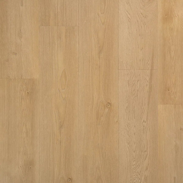 Riante plank Boterkoek | Douwes Dekker | Dryback Plak PVC