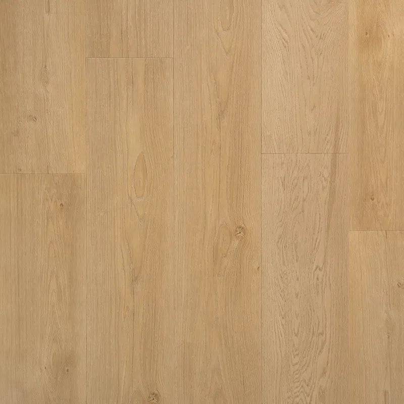 Staal van Riante plank Boterkoek | Douwes Dekker | Dryback Plak PVC