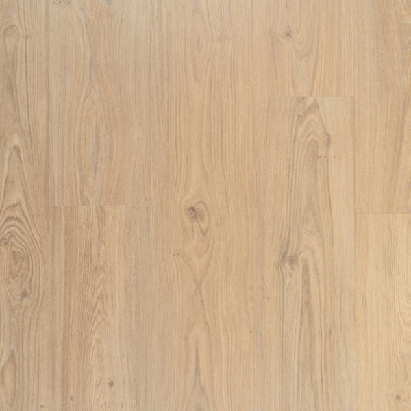 Riante plank Crème Brûlée | Douwes Dekker | Klik PVC Rigid