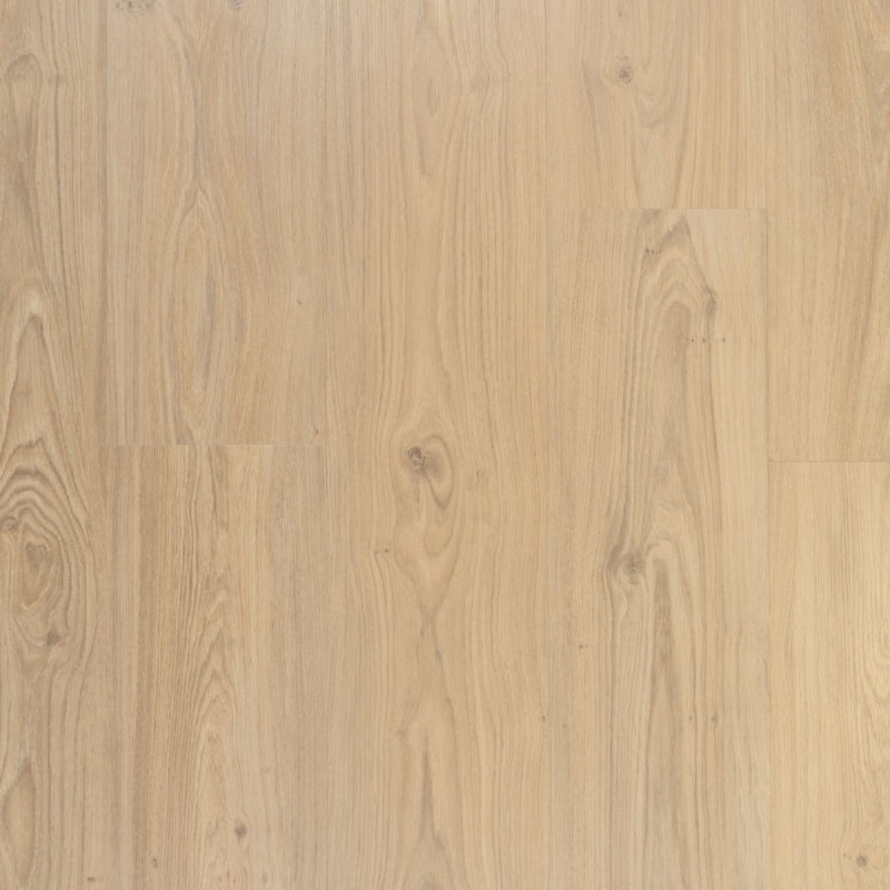 Riante plank Crème Brûlée | Douwes Dekker | Dryback Plak PVC