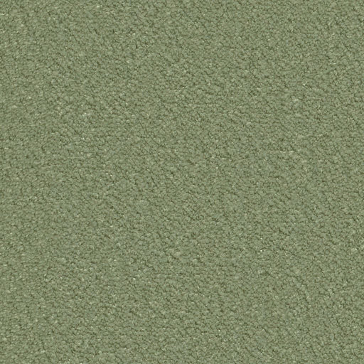 Ambiant Lodi vloerkleed op maat kleur Groen 0900