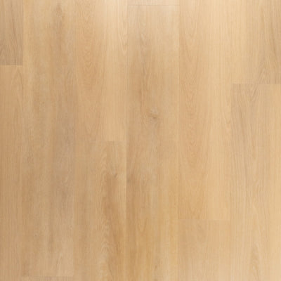Riante Plank Brioche | Douwes Dekker | Dryback Plak PVC