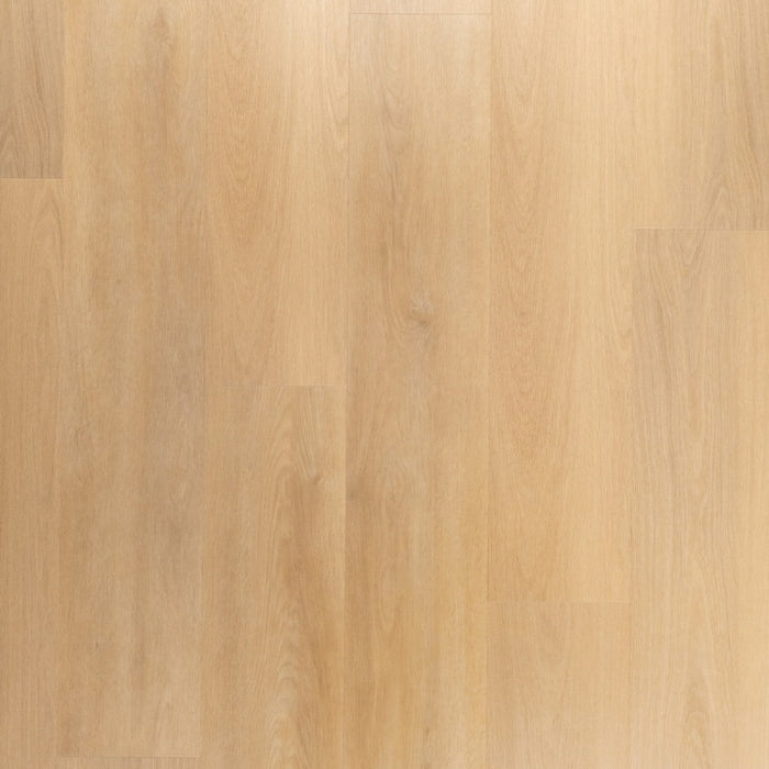 Riante Plank Brioche | Douwes Dekker | Klik PVC Rigid