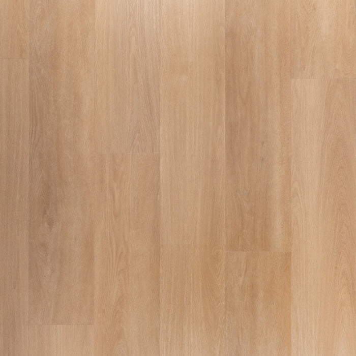 Riante Plank Tompouce | Douwes Dekker | Klik PVC Rigid