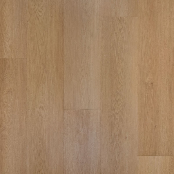 Douwes Dekker Perzik plank | Dryback Plak PVC