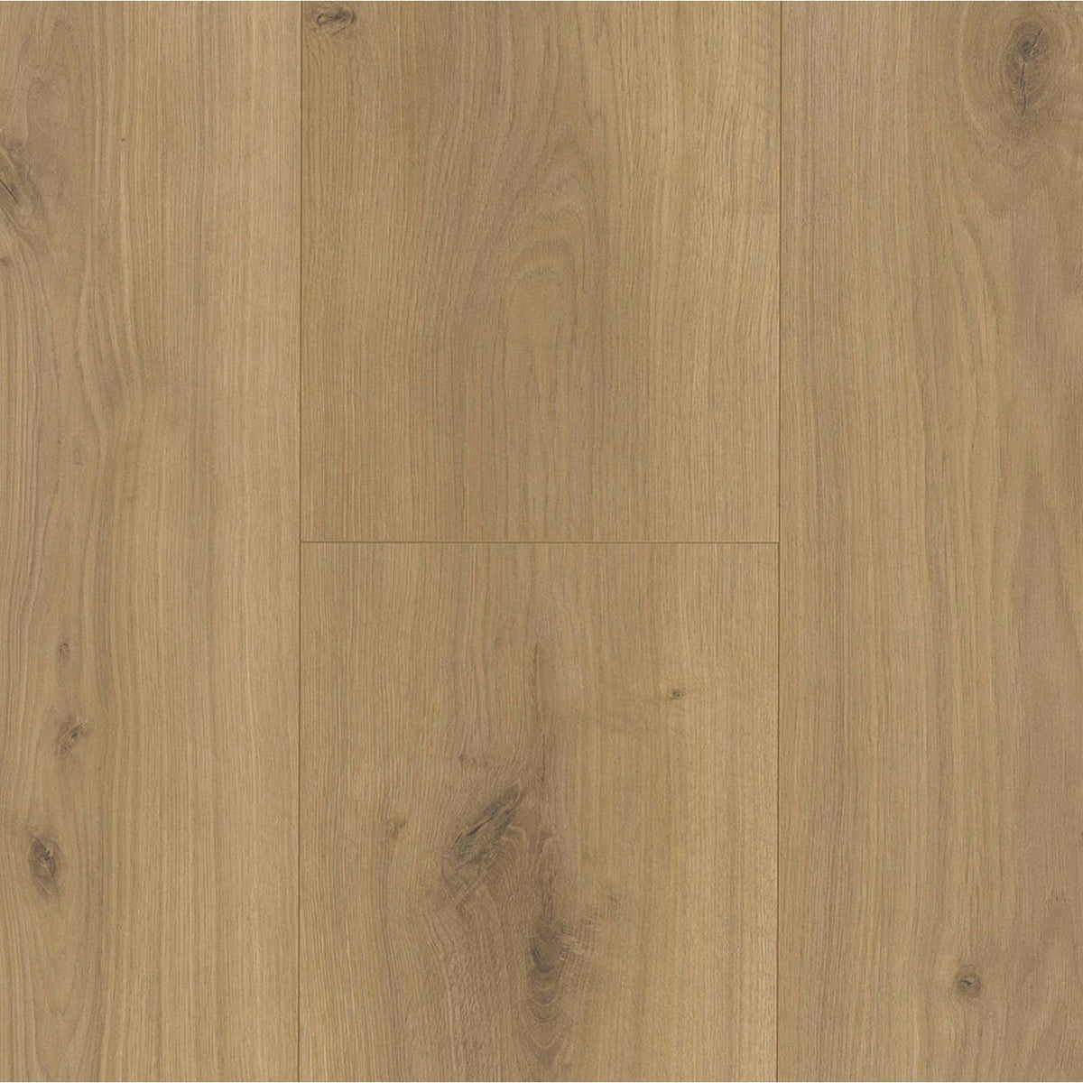 PARADOR Basic 600 XS Eiken Horizont Natuur - Laminaat