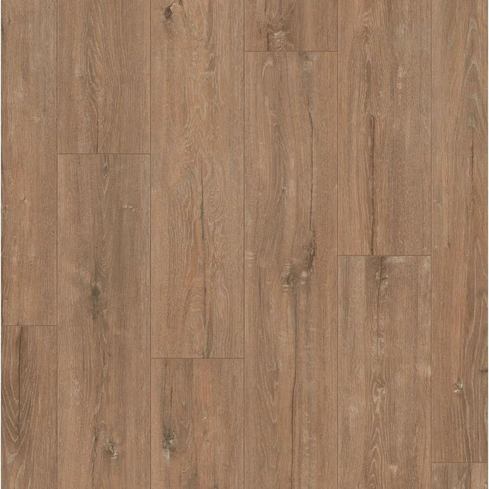 SAFFIER Estrada Hydro EST426H Forest Oak - Laminaat