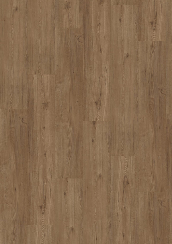 Vivafloors 5001 | Eiken | Click PVC Rigid