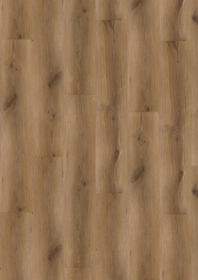 Vivafloors 5002 | Eiken | Lijm PVC Dryback