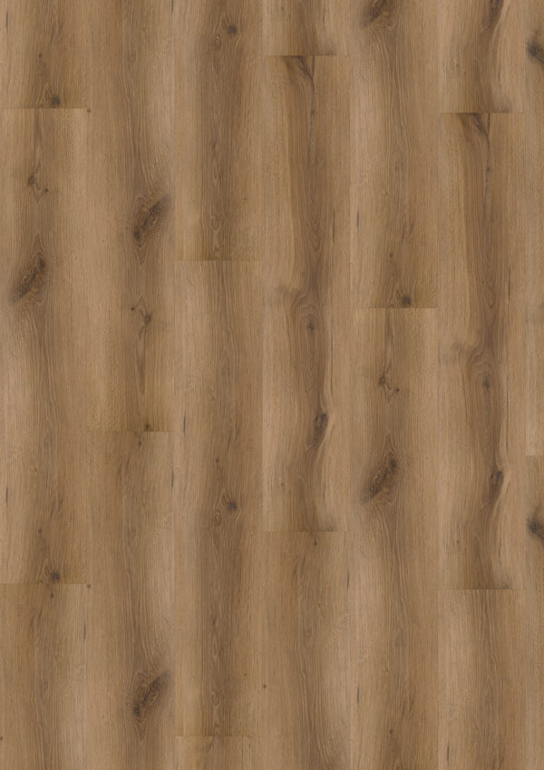 Vivafloors 5002 | Eiken | Click PVC Rigid