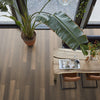 FloorLife Midwood Bruin eiken - Laminaat