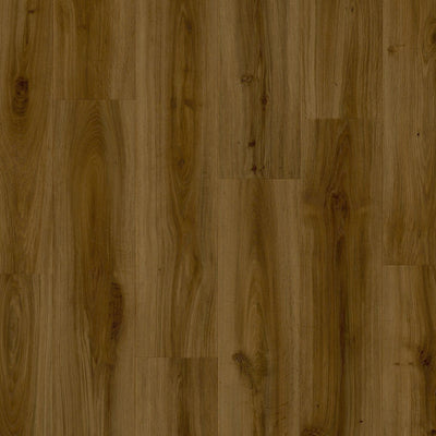 Moduleo - LayRed - Classic Oak 24881 - Click PVC