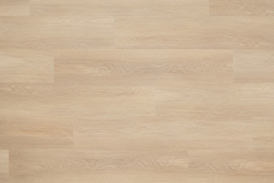 Floer Natuur Noordwijk Natuur - Dryback Plak PVC