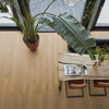 FloorLife Newham Dark oak - Dryback Plak PVC