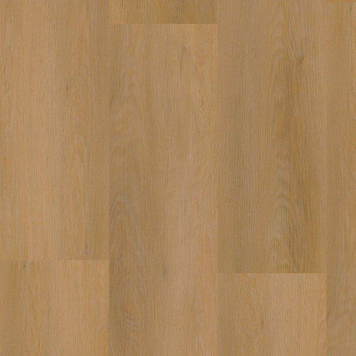 Ambiant Sentima Dark oak | Dryback Lijm PVC