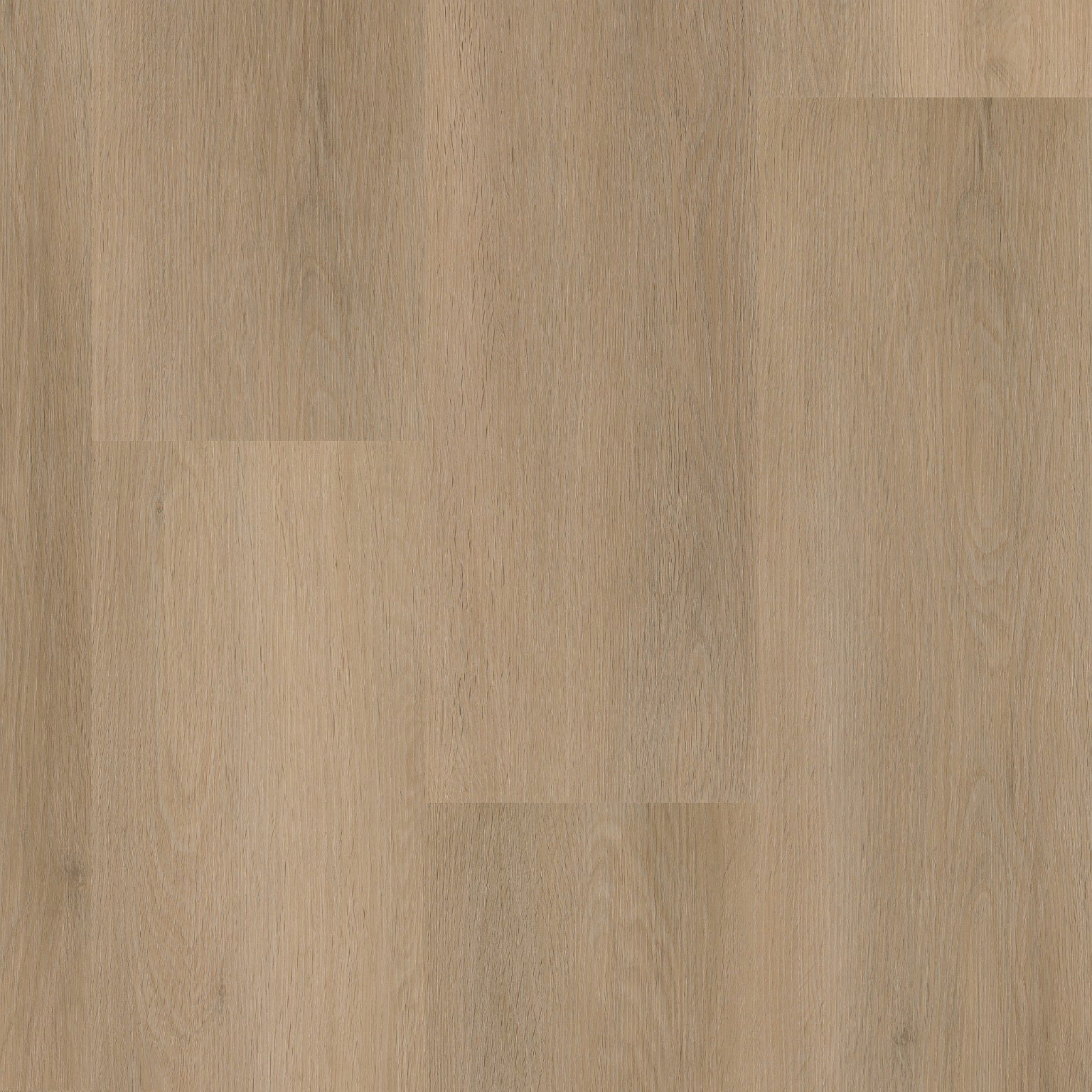 Ambiant Sentima Beige | Dryback Lijm PVC