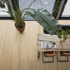 FloorLife Greenford Natural - Dryback Plak PVC