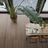 FloorLife Greenford Brown - Dryback Plak PVC