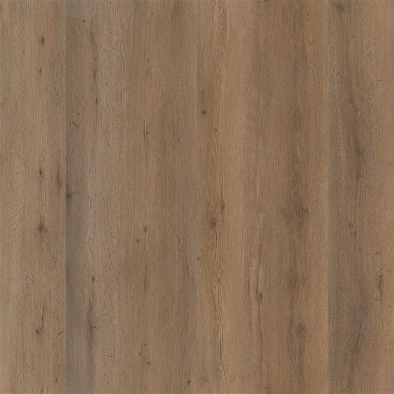 Staal van FloorLife Leyton Smoky - Dryback Plak PVC