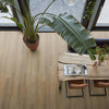 FloorLife Leyton Dark oak - Dryback Plak PVC