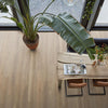 FloorLife Leyton Natural oak - Plank Click PVC