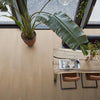 FloorLife Barnet Natural oak - Dryback Plak PVC