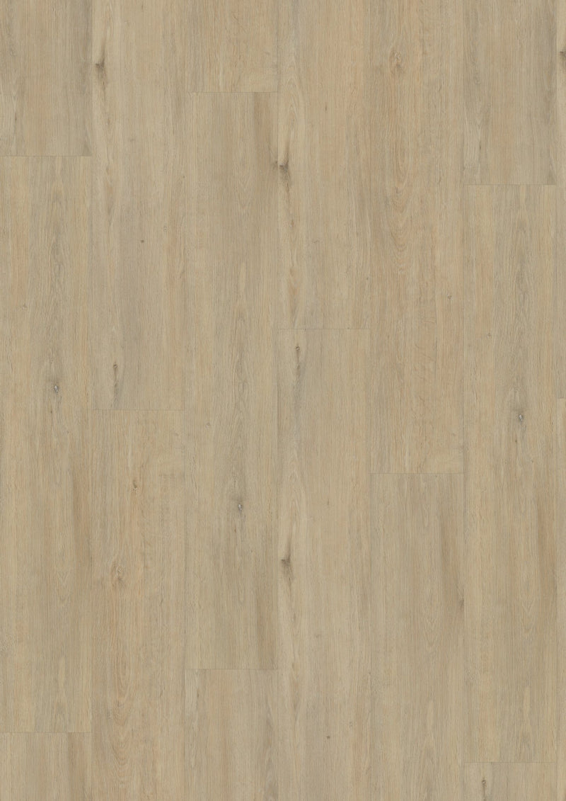 Staal van Vivafloors 6501 Eiken - Dryback Plak PVC
