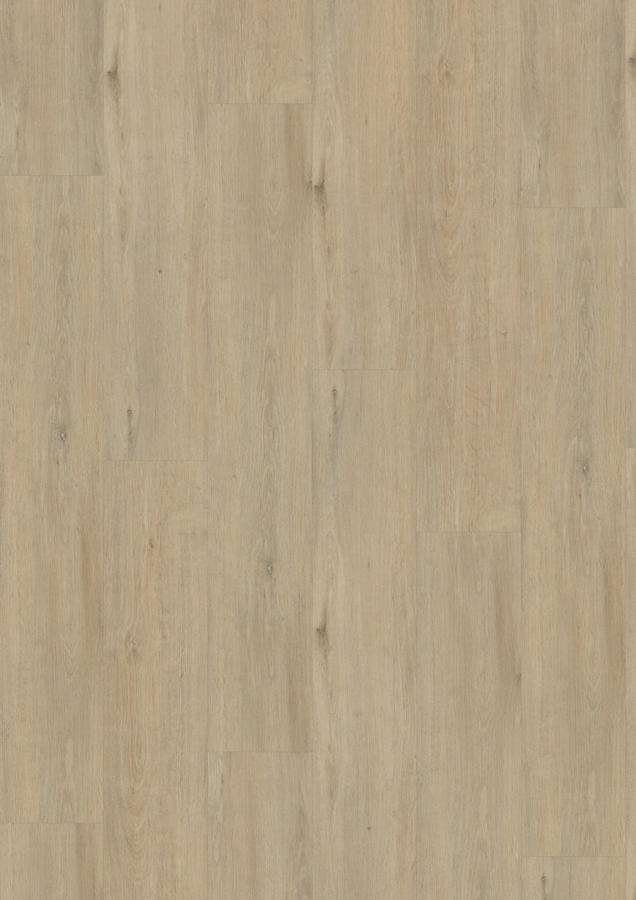Vivafloors 6501 Eiken - Dryback Plak PVC