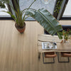 FloorLife Greenwich Warm oak - Plank Click PVC