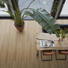 FloorLife Greenwich Dark oak - Plank Click PVC