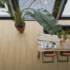 FloorLife Merton Light oak - Dryback Plak PVC