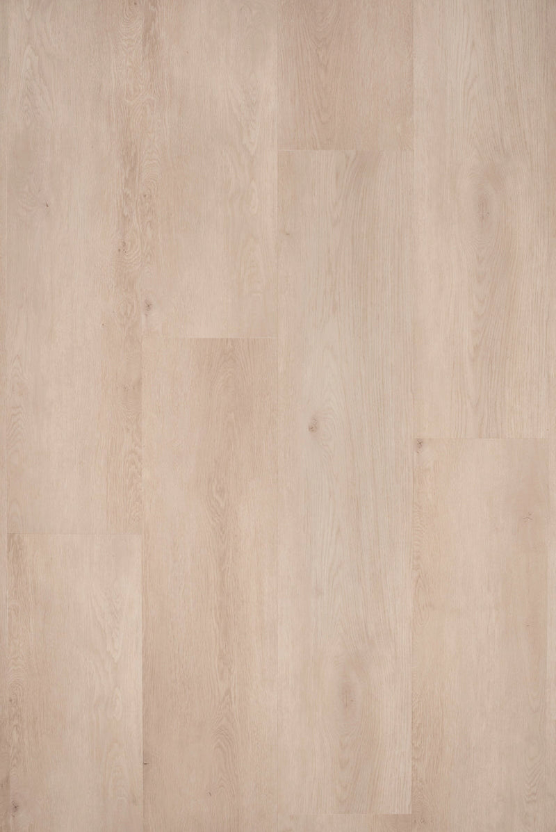 Staal van Floer Witte Eik - Dryback Plak PVC