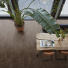 FloorLife Finsbury Brown - Dryback Plak PVC