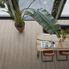 FloorLife Parramatta Smoky - Dryback Plak PVC