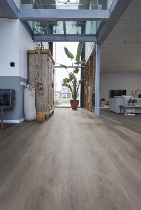 Ambiant Robusto Grey oak | Plank Klik PVC