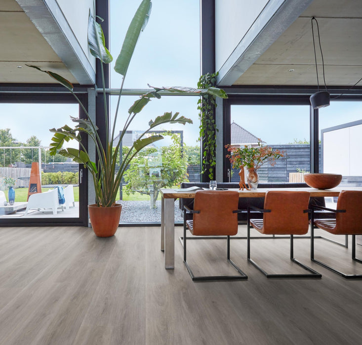 Ambiant Robusto Grey oak | Dryback Lijm PVC